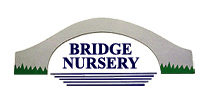 Bridge Nursery